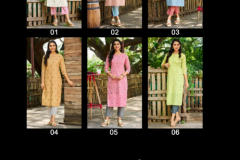 100 Miles Prisha Pure Cotton Kurti Design 01 to 06 Series (2)