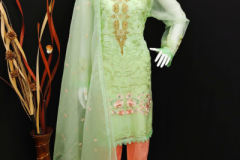 Aarsh D.No. 029 Readymade Pakistani Tops With Pant & Dupatta Collection Design 029 Series (1)