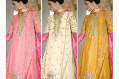 Al Khushbu D.No 3041 Designer Pakistani Suits Design 3014E to 3014G Series (5)