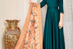 Alishka Fashion Fabulous Gown With Banarasi Dupatta Design 1001 to 1006 1