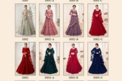 Alizeh Adorable Net Wedding Lehenga Design 1001 to 1004-C Series (13)