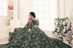Alizeh Adorable Net Wedding Lehenga Design 1001 to 1004-C Series (14)