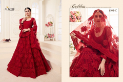 Alizeh Adorable Net Wedding Lehenga Design 1001 to 1004-C Series (17)