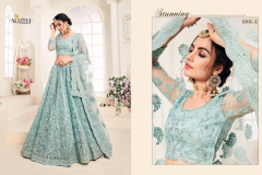 Alizeh Adorable Net Wedding Lehenga Design 1001 to 1004-C Series (21)