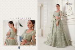 Alizeh Adorable Net Wedding Lehenga Design 1001 to 1004-C Series (27)
