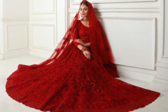 Alizeh Adorable Net Wedding Lehenga Design 1001 to 1004-C Series (1)