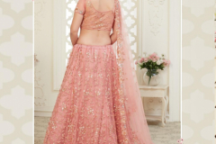 Alizeh Engagement Colour Plus Hit Designer Lehenga 09