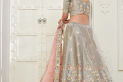 Alizeh Engagement Colour Plus Hit Designer Lehenga 12