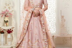 Alizeh Engagement Colour Plus Hit Designer Lehenga 13