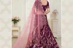 Alizeh Engagement Colour Plus Hit Designer Lehenga 20