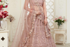 Alizeh Engagement Colour Plus Hit Designer Lehenga 6