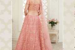 Alizeh Engagement Colours Plus Designer Lehenga Choli Design 1009 to 1011C Series (13)