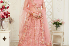 Alizeh Engagement Colours Plus Designer Lehenga Choli Design 1009 to 1011C Series (15)