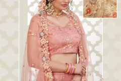 Alizeh Engagement Colours Plus Designer Lehenga Choli Design 1009 to 1011C Series (18)
