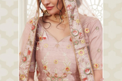 Alizeh Engagement Colours Plus Designer Lehenga Choli Design 1009 to 1011C Series (20)