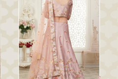 Alizeh Engagement Colours Plus Designer Lehenga Choli Design 1009 to 1011C Series (22)