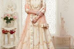 Alizeh Engagement Colours Plus Designer Lehenga Choli Design 1009 to 1011C Series (23)