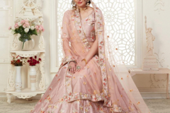 Alizeh Engagement Colours Plus Designer Lehenga Choli Design 1009 to 1011C Series (24)