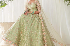 Alizeh Engagement Colours Plus Designer Lehenga Choli Design 1009 to 1011C Series (30)