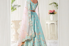 Alizeh Engagement Colours Plus Designer Lehenga Choli Design 1009 to 1011C Series (32)