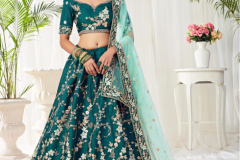 Alizeh Engagement Colours Plus Designer Lehenga Choli Design 1009 to 1011C Series (33)