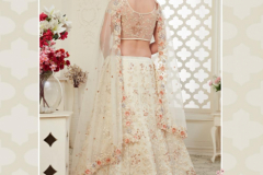 Alizeh Engagement Colours Plus Designer Lehenga Choli Design 1009 to 1011C Series (7)