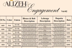 Alizeh Engagement Vol 2 Bridal Lehenga Choli Design 1029 to 1034 Series (27)
