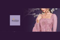 Alizeh Murad Vol 5 Net Sharara Salwar Suit Design 2023-A to 2024-D Series (11)