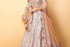 Alizeh Sangeet Vol 2 A Premium Designer Lehenga Collection Design 1023 to 1026 Series (13)