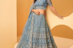 Alizeh Wedding Affeir Colour Plus Lehenga Choli Design 1022 to 1022-B Series (3)