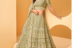 Alizeh Wedding Affeir Colour Plus Lehenga Choli Design 1022 to 1022-B Series (8)