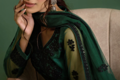 Alizeh Zaida Vol 6 Net Salwar Suit Design 2021-A to 2021-B Series (1)