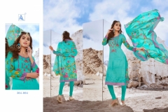 Alok Suit Kanika 11