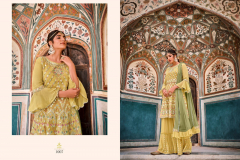 Amyra Designer Riwaz Vol 2 Salwar Suit Design 1005 to 1008 Series (4)