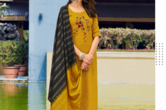 Anieya Soneri Vol 1 Kurti With Bottom & Dupatta Series 1001 to 1006 Series (2)