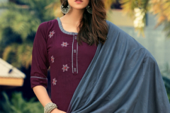 Anieya Soneri Vol 1 Kurti With Bottom & Dupatta Series 1001 to 1006 Series (6)