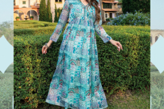 Anju Fabric Flora Vol 02 Premium Chiffon One Piece Dresses Collection Design 3031 to 3036 Series (2)