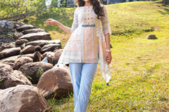 Anju Fabric Fusion Vol 2 Malmal Cotton Designer Co-Ord Set Collection Design 2931 to 2936 Series (16)