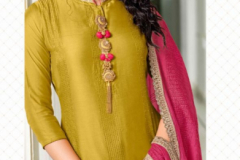 Anju Fabrics Bhandhan Kurti With Bottom & Dupatta Series 1201 to 1204 Series (1)