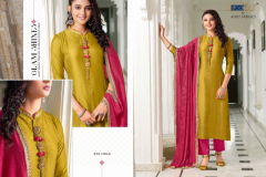Anju Fabrics Bhandhan Kurti With Bottom & Dupatta Series 1201 to 1204 Series (6)