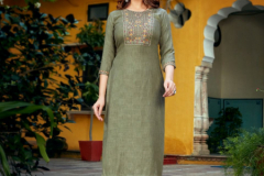 Aradhna Fashion Class Vol 03 Rayon With Embroidery Work Striaght Kurti Collection Design 3001 to 3005 Series (5)