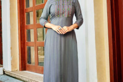 Aradhna Fashion Talk of The Town Vol 2 Viscose Kurti Design 2001 to 2006 Series (3)