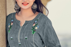 Art Riddhs Meera Rayon Kurtis Design 1001 to 1005 11