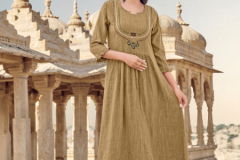 Art Riddhs Meera Rayon Kurtis Design 1001 to 1005 2