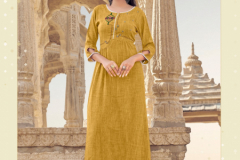 Art Riddhs Meera Rayon Kurtis Design 1001 to 1005 6