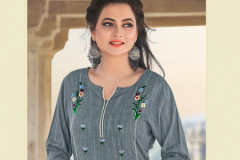 Art Riddhs Meera Rayon Kurtis Design 1001 to 1005