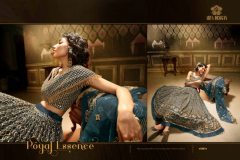 Arya Designs Cinderella Vol 09 Sequence Soft Net Lehengas Design 3001 to 3005 7