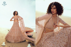 Arya Designs Cinderella Vol 10 Sequence Soft Net Lehengas Design 5101 to 5110 11