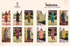 Asiana Vol 3 Poonam Designer 3001 to 3012 Series 5