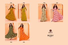 Baanvi Rosy Vol-1